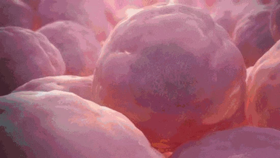 1675405822753457.gif